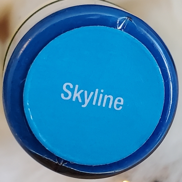 LipSense Other - Lipsense long lasting liquid lip color Skyline